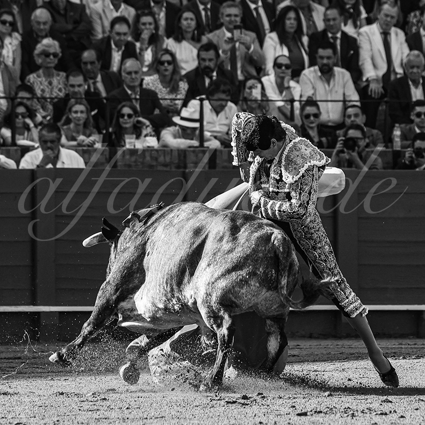 20240418 sevilla 002 bd