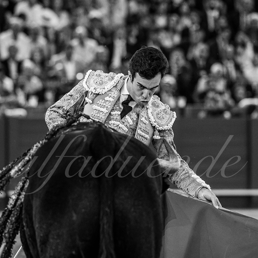 20240419 sevilla 019 bd