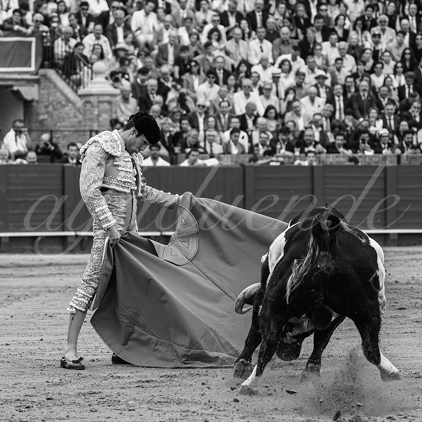 20240419 sevilla 016 bd