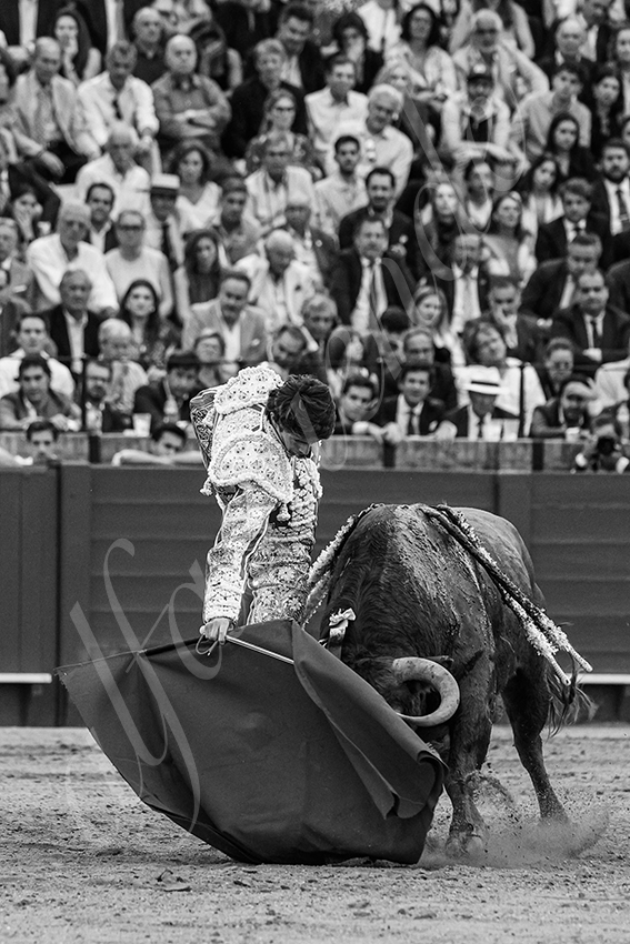 20240419 sevilla 015 bd