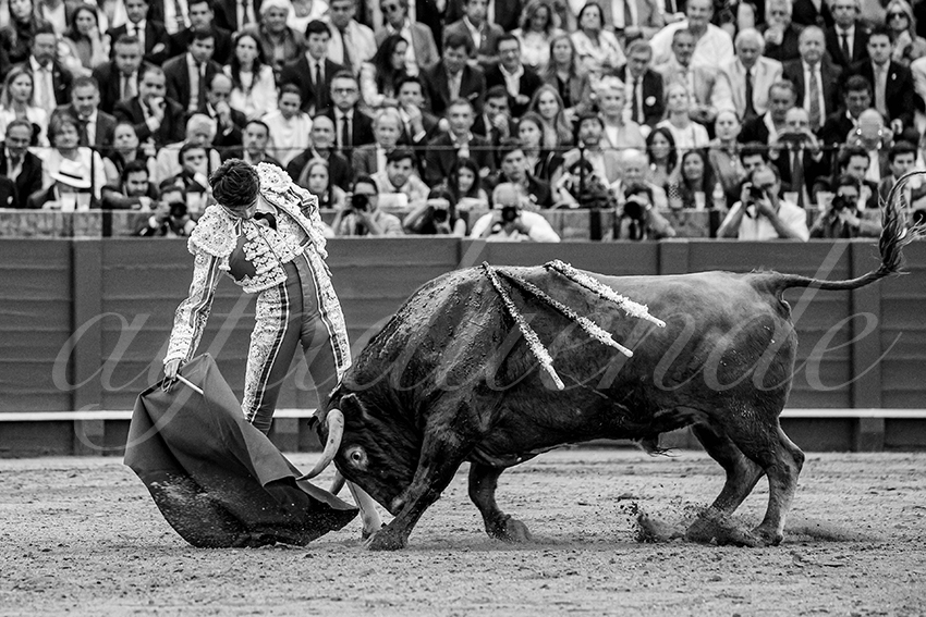 20240419 sevilla 012 bd