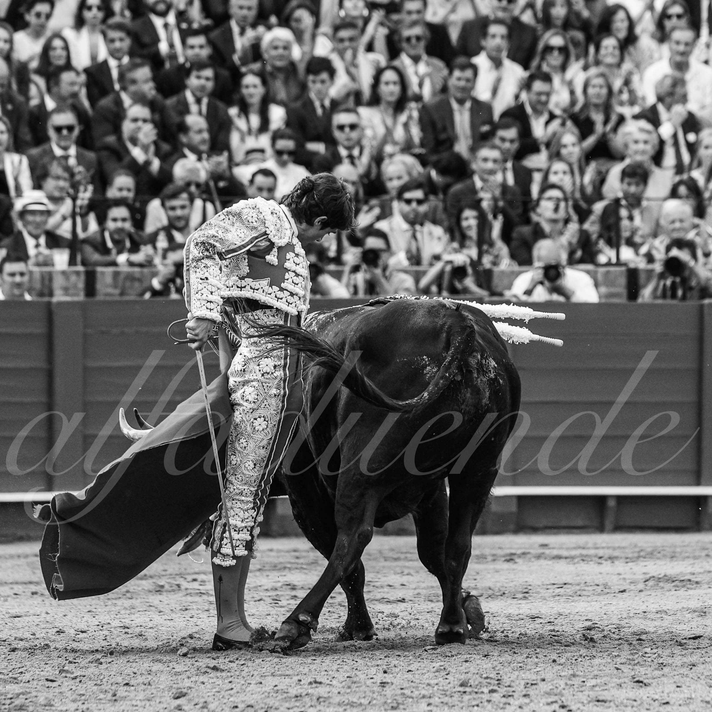 20240419 sevilla 010 bd