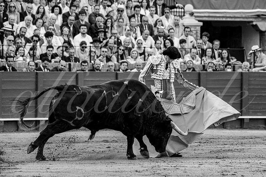 20240419 sevilla 008 bd