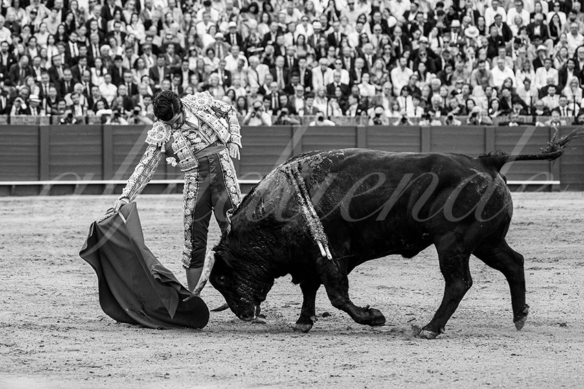 20240419 sevilla 007 bd