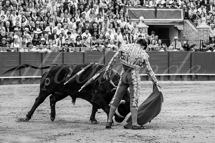 20240419 sevilla 006 bd