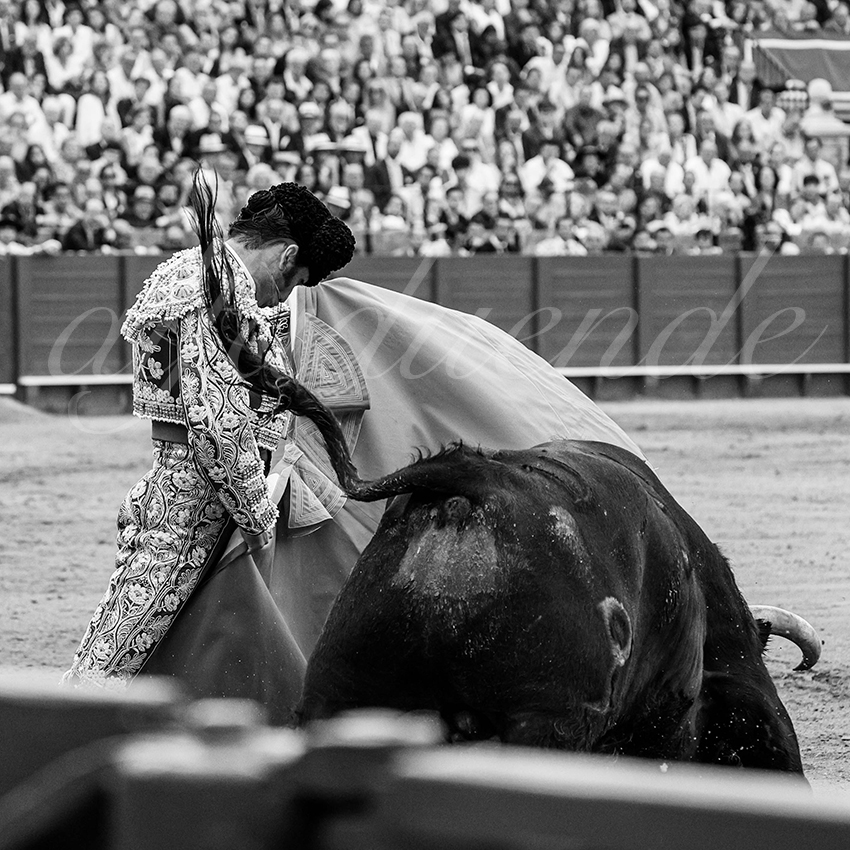 20240419 sevilla 005 bd