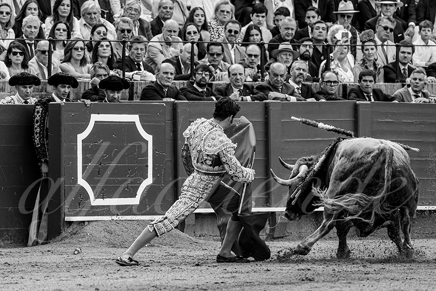 20240419 sevilla 004 bd