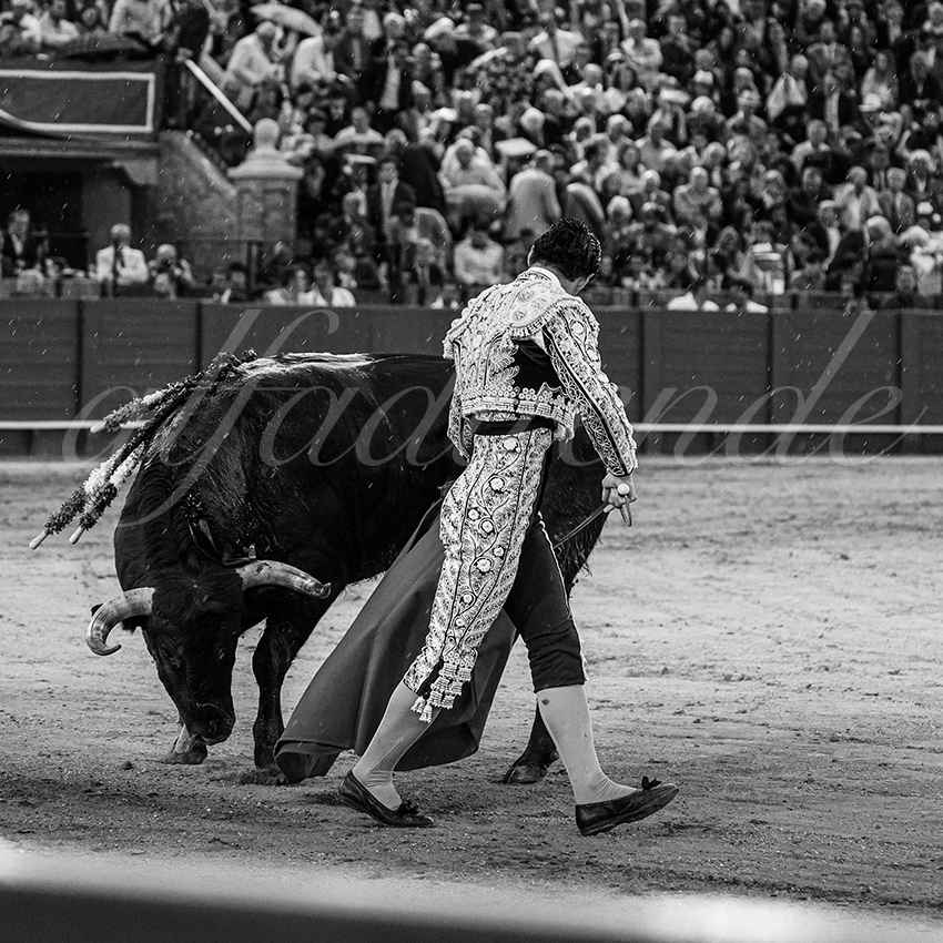 20240420 sevilla 028 bd