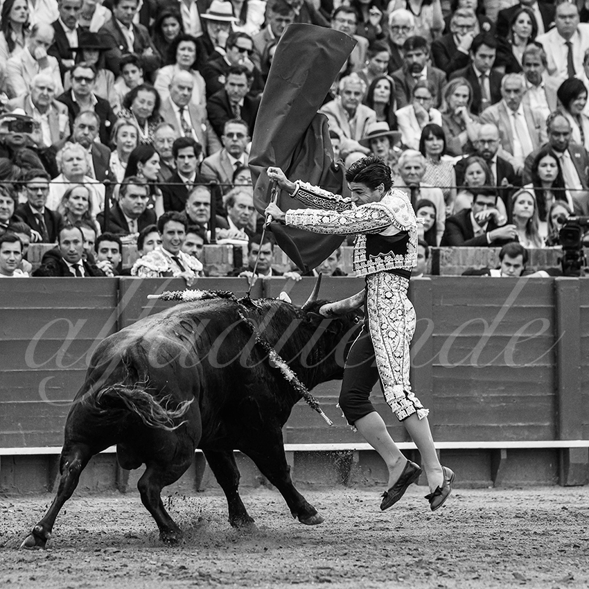 20240420 sevilla 027 bd