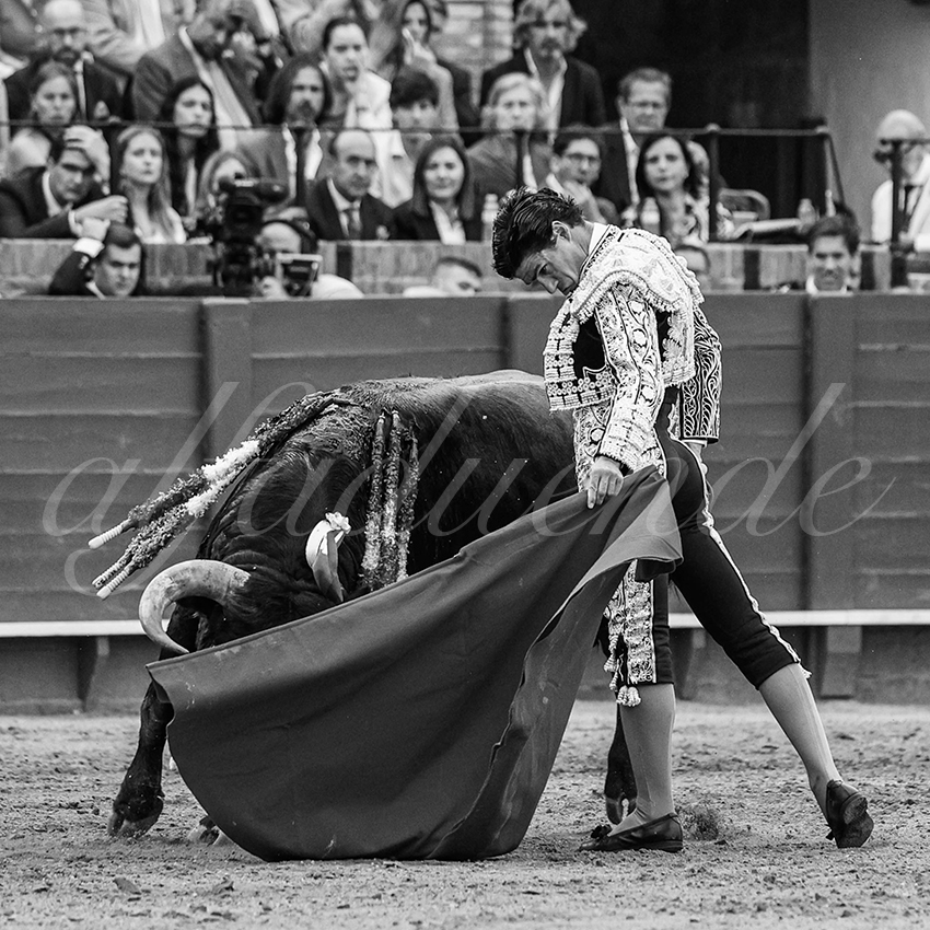 20240420 sevilla 026 bd