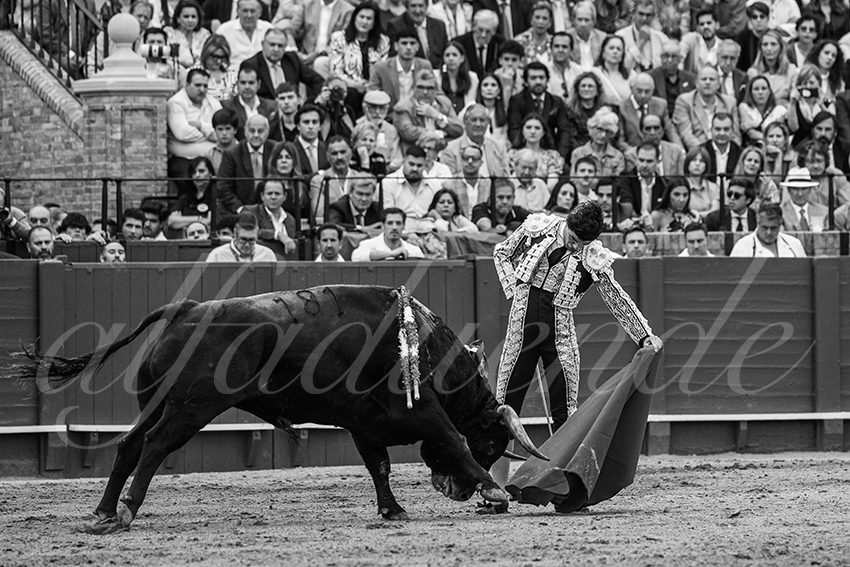 20240420 sevilla 025 bd