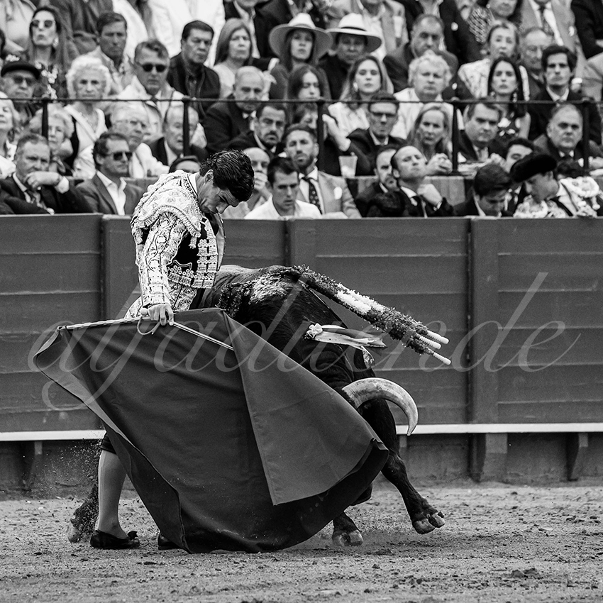 20240420 sevilla 024 bd