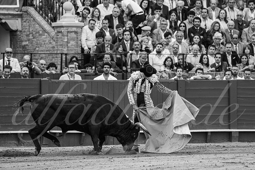 20240420 sevilla 022 bd