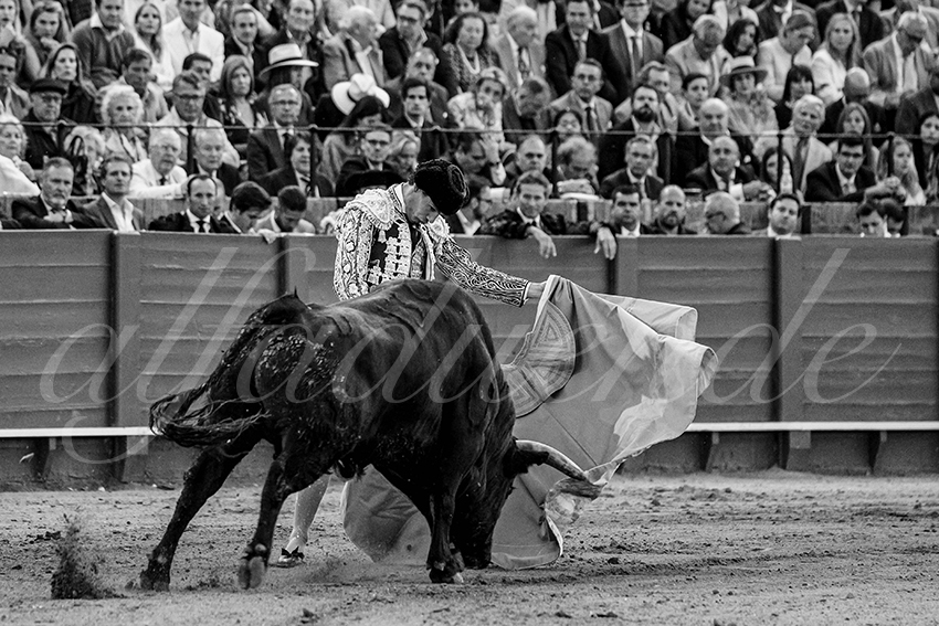 20240420 sevilla 021 bd