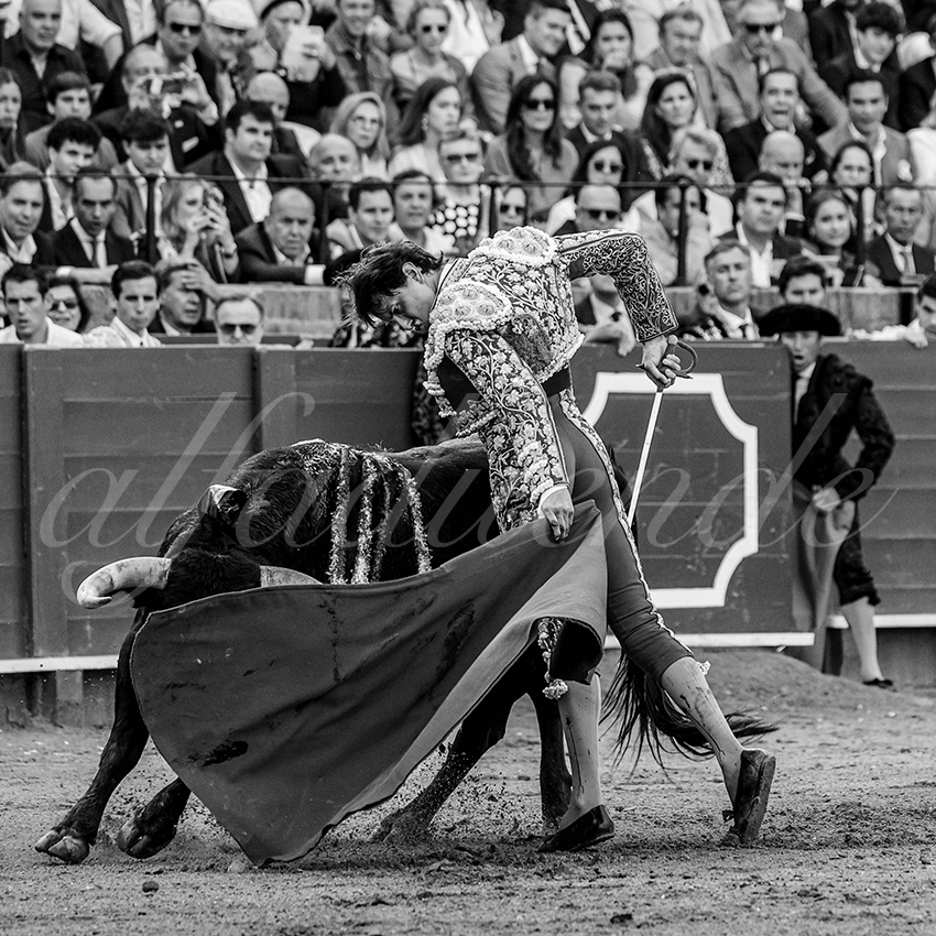 20240420 sevilla 018 bd