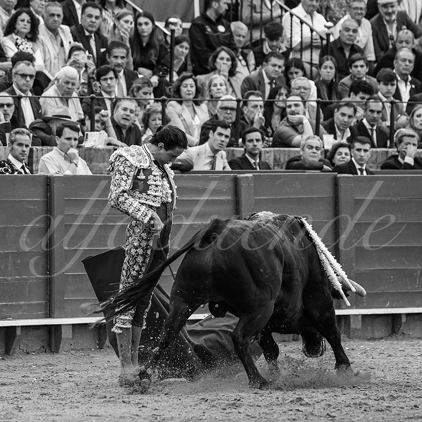 20240420 sevilla 017 bd