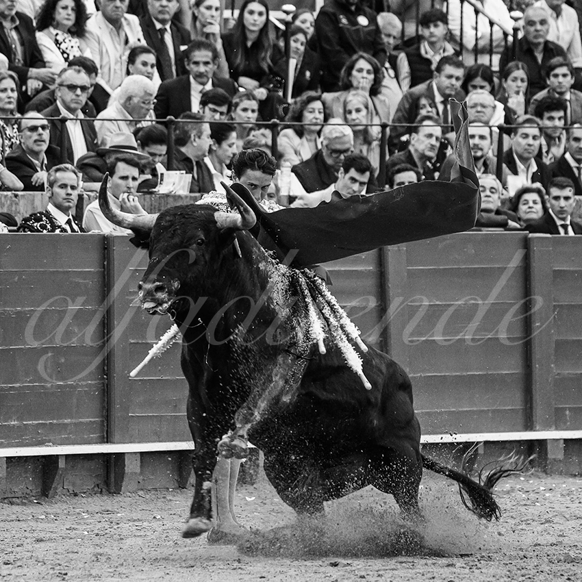 20240420 sevilla 016 bd