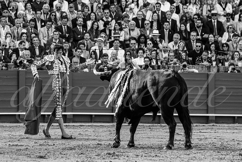 20240420 sevilla 014 bd