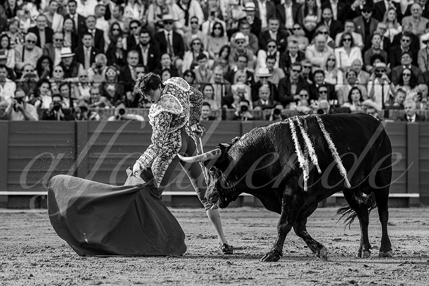 20240420 sevilla 013 bd