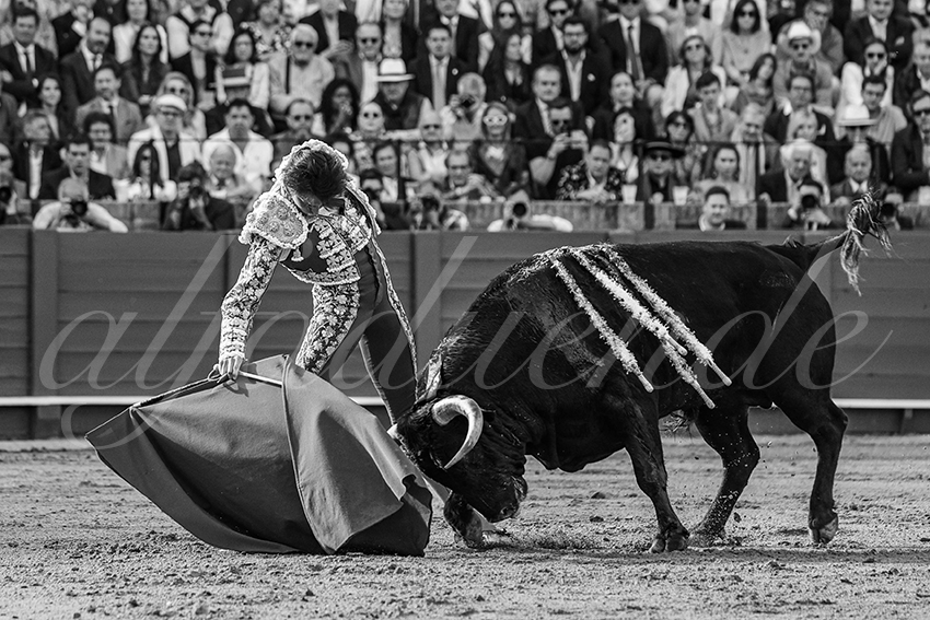 20240420 sevilla 012 bd