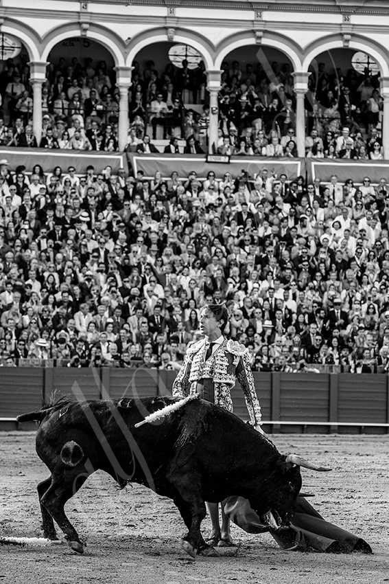 20240420 sevilla 011 bd