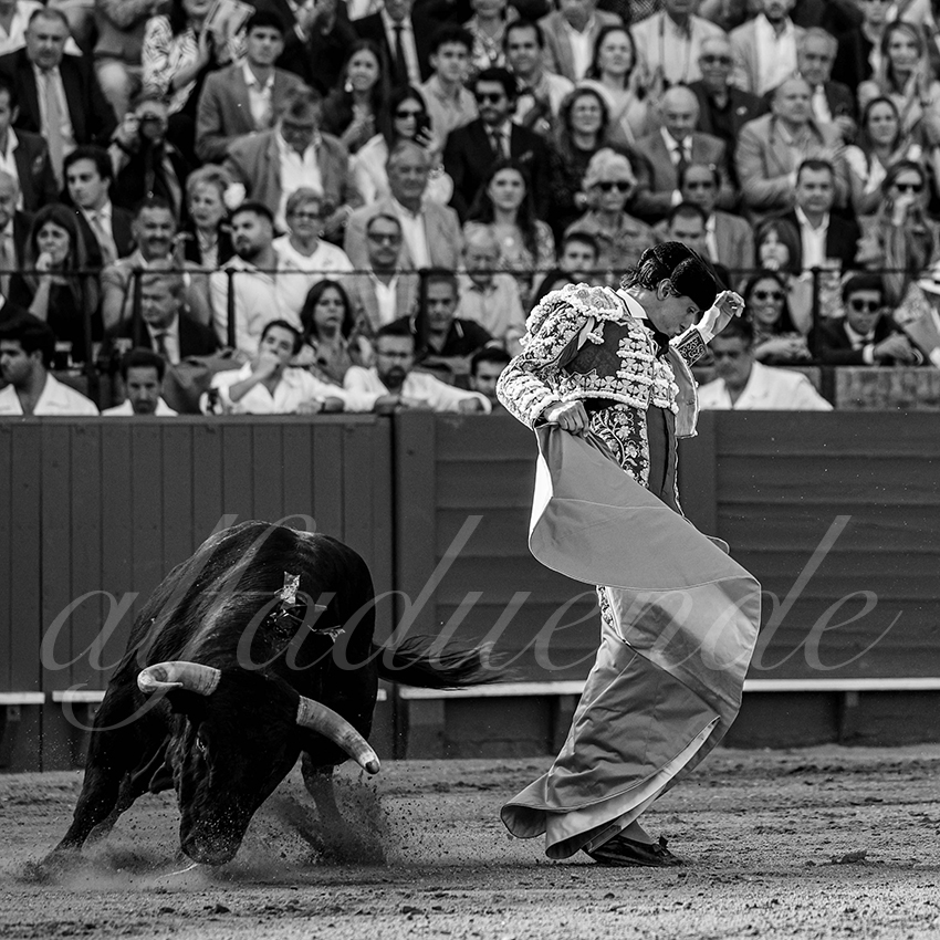 20240420 sevilla 010 bd