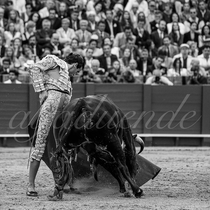 20240420 sevilla 008 bd