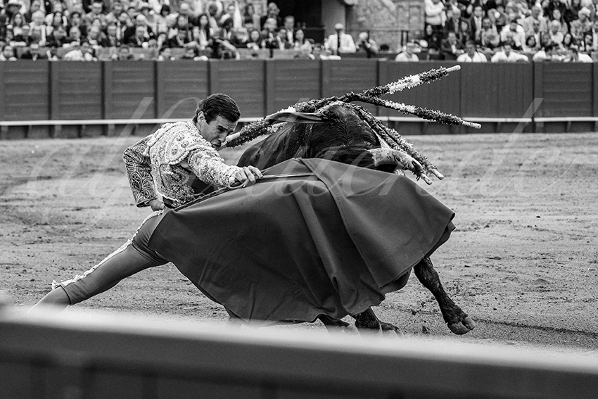 20240420 sevilla 007 bd