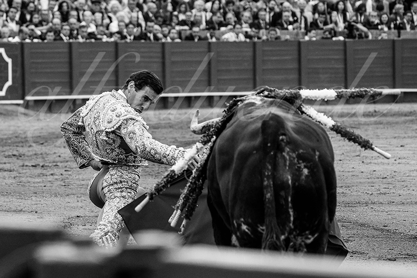 20240420 sevilla 006 bd