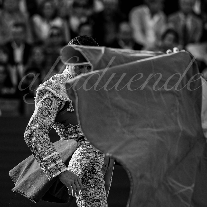 20240420 sevilla 005 bd