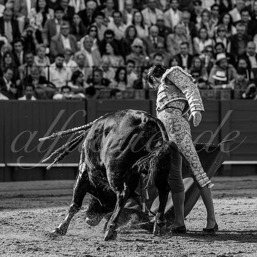 20240420 sevilla 004 bd