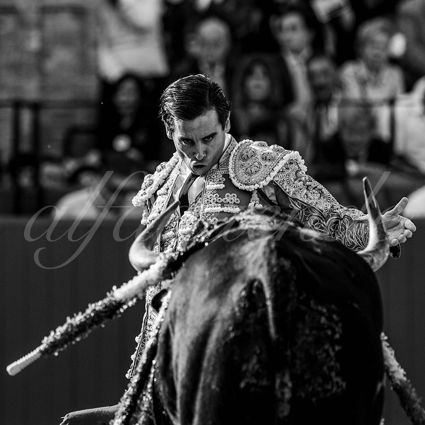 20240420 sevilla 003 bd