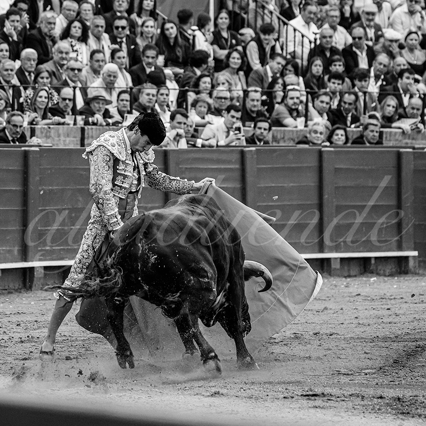 20240420 sevilla 002 bd