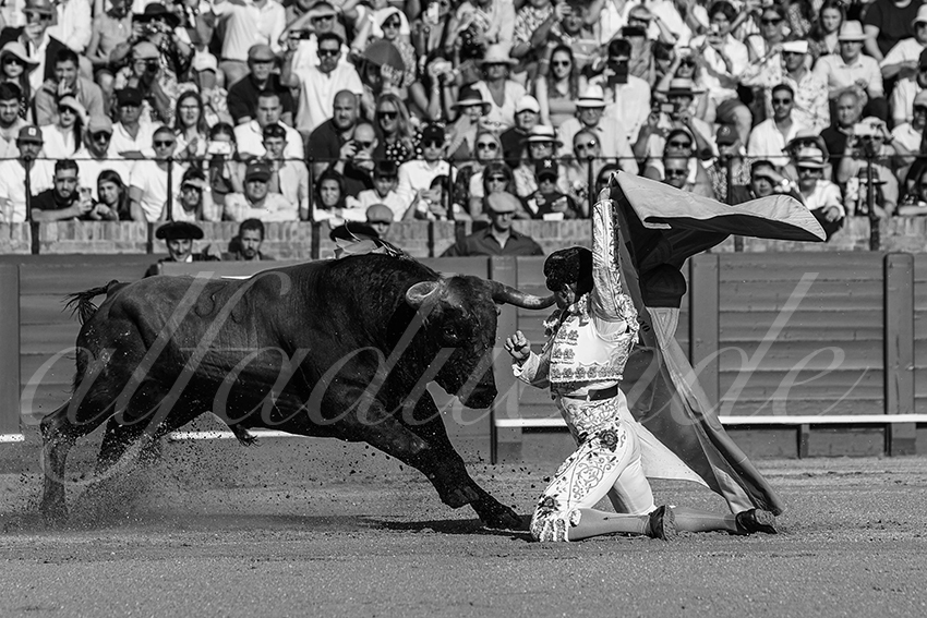 20240421 sevilla 010 bd