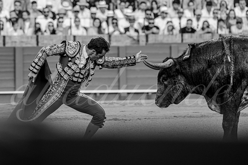 20240421 sevilla 009 bd