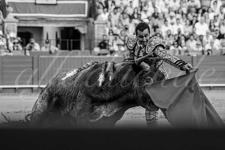 20240421 sevilla 008 bd