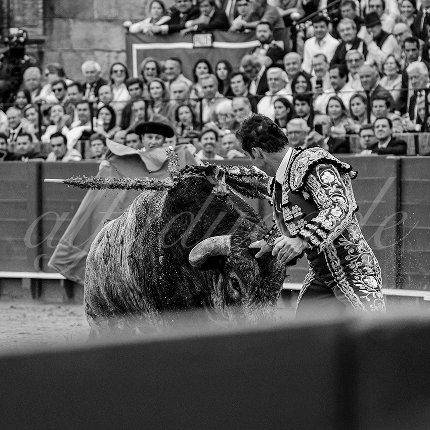 20240421 sevilla 006 bd