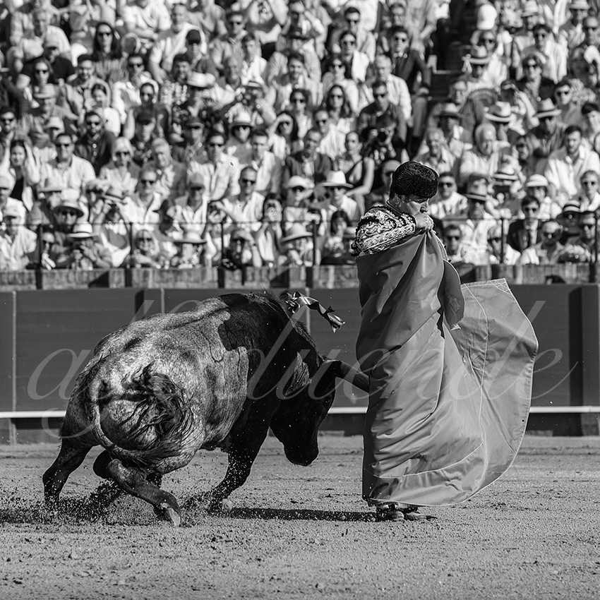 20240421 sevilla 005 bd