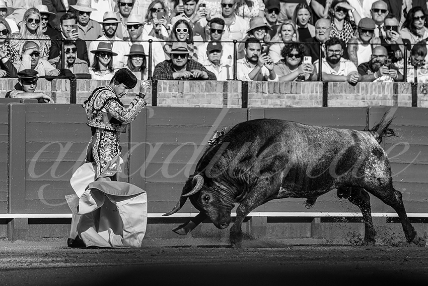 20240421 sevilla 004 bd