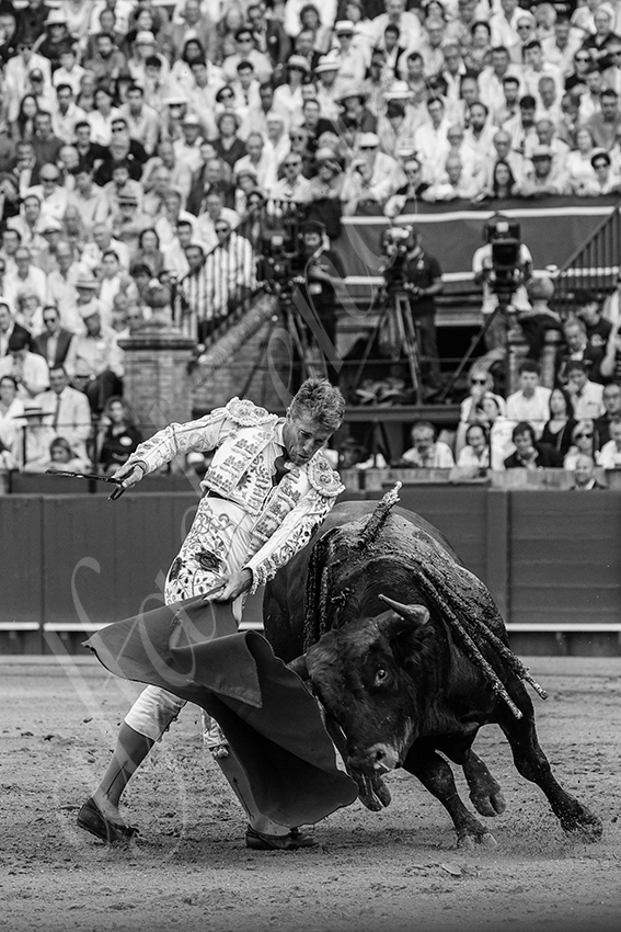 20240421 sevilla 020 bd