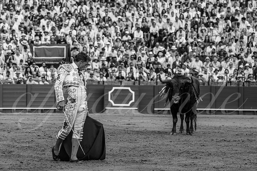 20240421 sevilla 019 bd