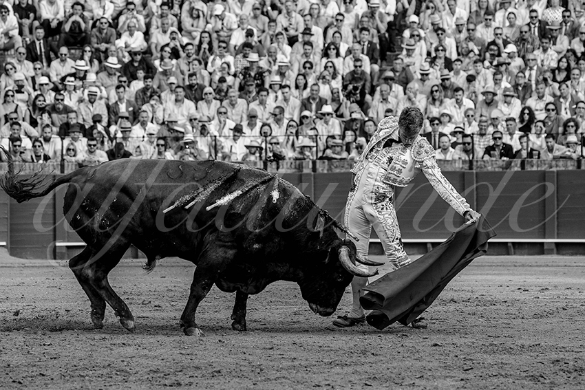 20240421 sevilla 018 bd