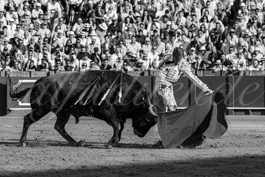 20240421 sevilla 016 bd