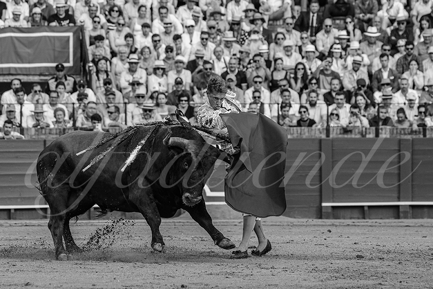 20240421 sevilla 014 bd