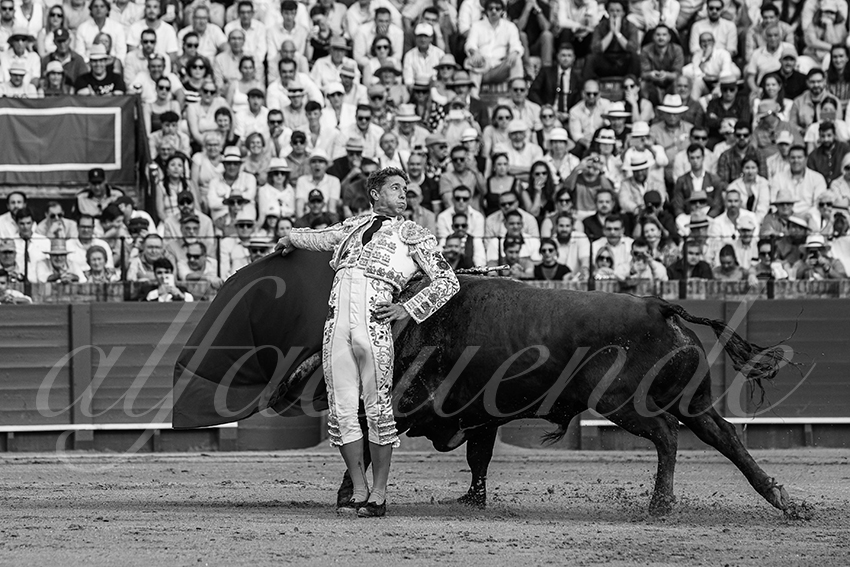 20240421 sevilla 013 bd