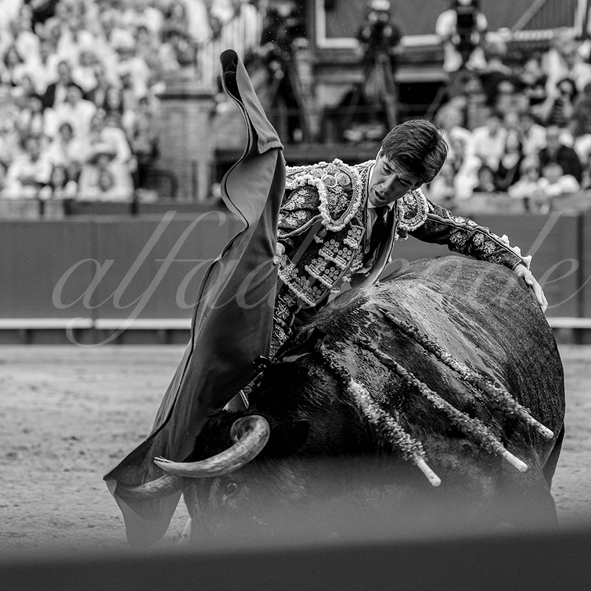 20240421 sevilla 032 bd