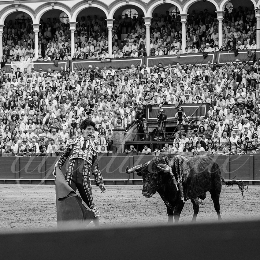 20240421 sevilla 031 bd