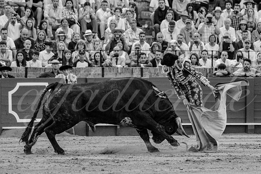 20240421 sevilla 030 bd