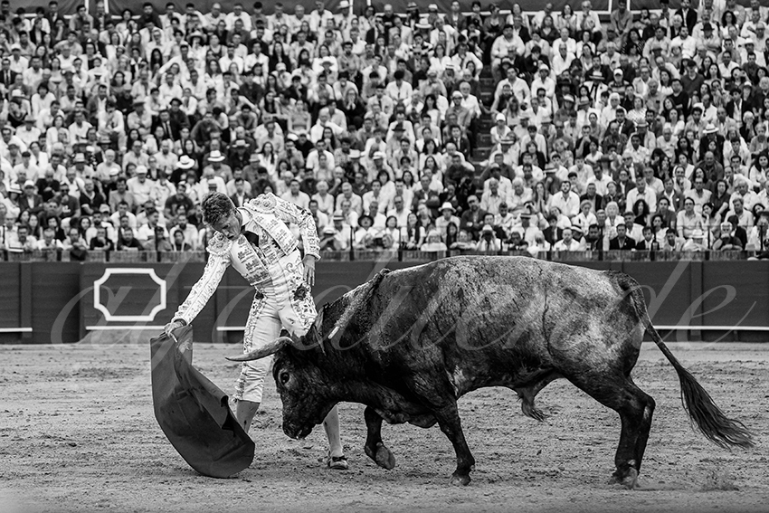 20240421 sevilla 029 bd