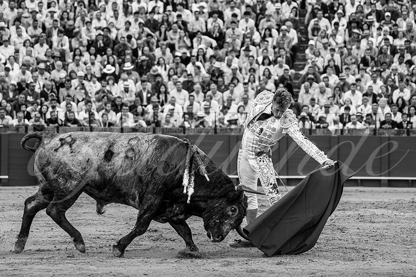 20240421 sevilla 028 bd